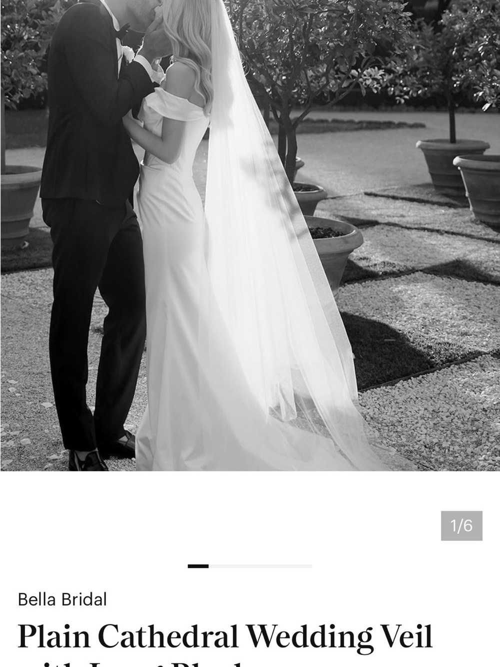 White Cathedral Wedding Veil
